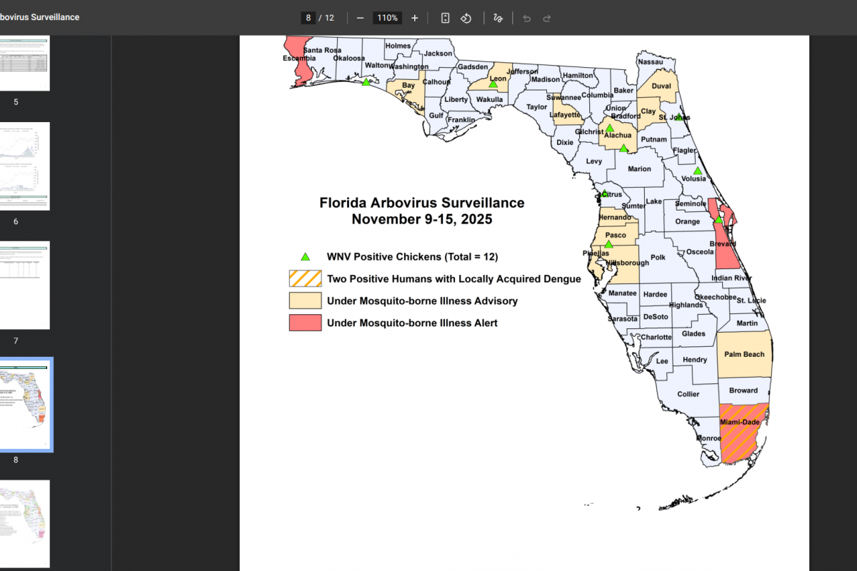 Visitors From Cuba Bring Chikungunya, Dengue, Oropouche to Florida – Vax-Before-Travel